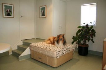 Holistic Paws - Vet Canberra 0