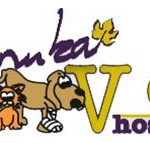 Manuka Veterinary Hospital - Vet Canberra