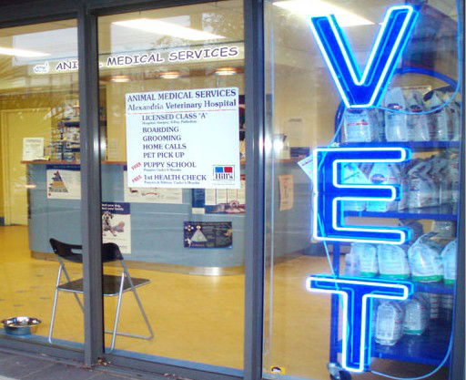 Rockdale NSW Vet Canberra