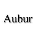 Auburn Veterinary Hospital - Vet Canberra