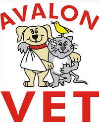 Avalon NSW Vet Canberra
