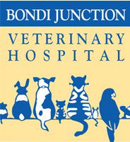 Edgecliff NSW Vet Canberra