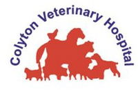 Book St Marys Accommodation Vacations Vet Canberra Vet Canberra