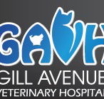 Gill Avenue Veterinary Hospital - Vet Canberra