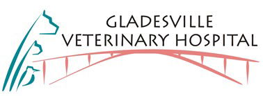 Tennyson Point NSW Vet Canberra