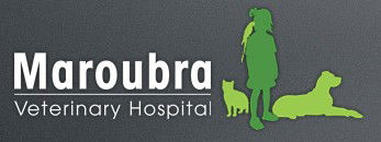 Pagewood NSW Vet Canberra