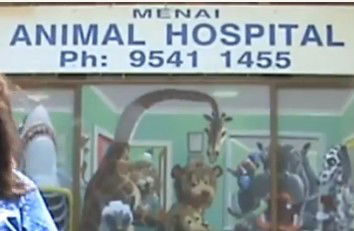 Menai Animal Hospital - Vet Canberra 0