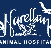 Narellan Animal Hospital - Vet Canberra
