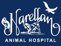 Narellan Animal Hospital