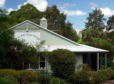 Terrey Hills NSW Vet Canberra