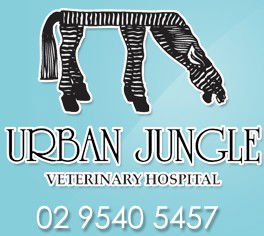 Miranda NSW Vet Canberra