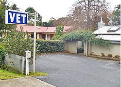 West Pennant Hills NSW Vet Canberra