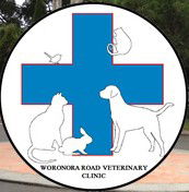 Engadine NSW Vet Canberra