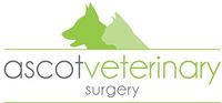 Ascot Veterinary Surgery
