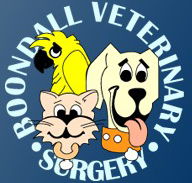 Boondall Veterinary Surgery - Vet Canberra