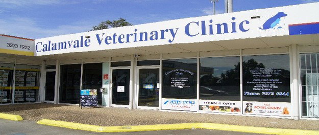 Calamvale QLD Vet Canberra