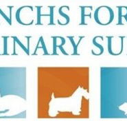 Frenchs Forest Veterinary Surgery - Vet Canberra