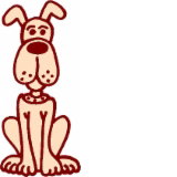 Broome WA Vet Canberra