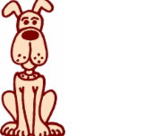 All Creatures Veterinary Hospital - Vet Canberra