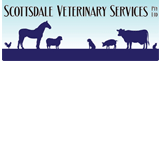 Scottsdale Veterinary Services Pty Ltd - Vet Canberra