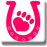 North West Animal Hospital  Clinic - Vet Canberra