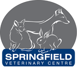 Springfield Veterinary Centre - Vet Canberra 0