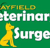 Morayfield Veterinary Surgery - Vet Canberra