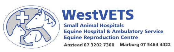 Anstead QLD Vet Canberra
