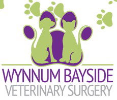 Wynnum Bayside Veterinary Surgery - Vet Canberra 1