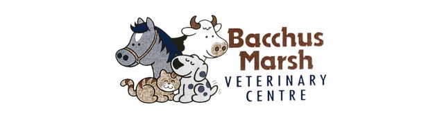 Puckapunyal VIC Vet Canberra