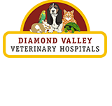Montmorency Veterinary Hospital - Vet Canberra