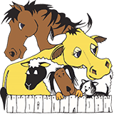 Stawell Veterinary Clinic - Vet Canberra