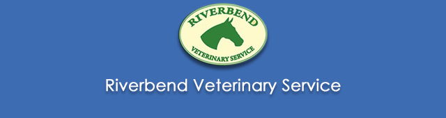 Lindifferon NSW Vet Canberra