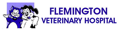 Flemington Veterinary Hospital - Vet Canberra 0
