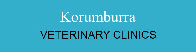 Korumburra VIC Vet Canberra