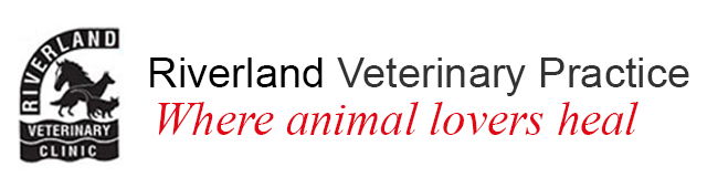 Lindley SA Vet Canberra