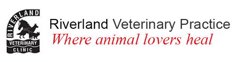 Riverland Veterinary Practice - Vet Canberra 0