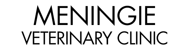 Meningie Veterinary Clinic - Vet Canberra 0