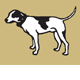 Motter Catherine - Vet Canberra