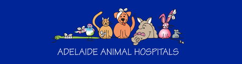 Adelaide Animal Hospital - Vet Canberra 0