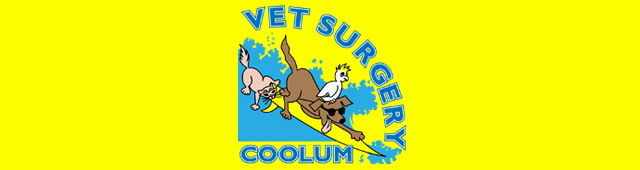 Coolum Beach QLD Vet Canberra