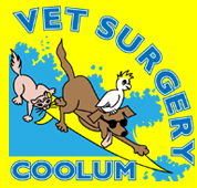 Coolum Veterinary Surgery - Vet Canberra
