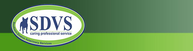 Eukey QLD Vet Canberra