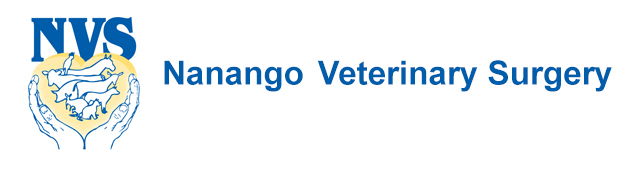 Elgin Vale ACT Vet Canberra
