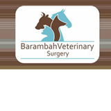 Kingaroy QLD Vet Canberra