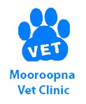 Vet Canberra