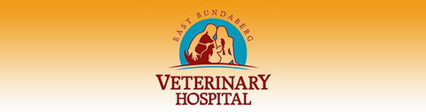 East Bundaberg Veterinary Hospital - Vet Canberra 0