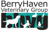 Bundewallah NSW Vet Canberra