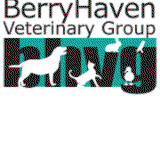 BerryHaven Veterinary Group - Vet Canberra