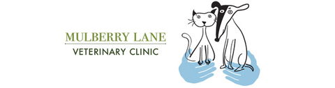 Mulberry Lane Veterinary Clinic - Vet Canberra 0